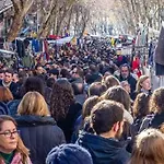 Moderno Y Funcional Apartamento En El Centro-El Rastro