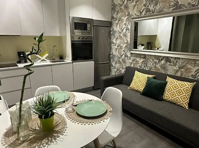 Apartamento 1 Hab En La Latina - Madrid Centro