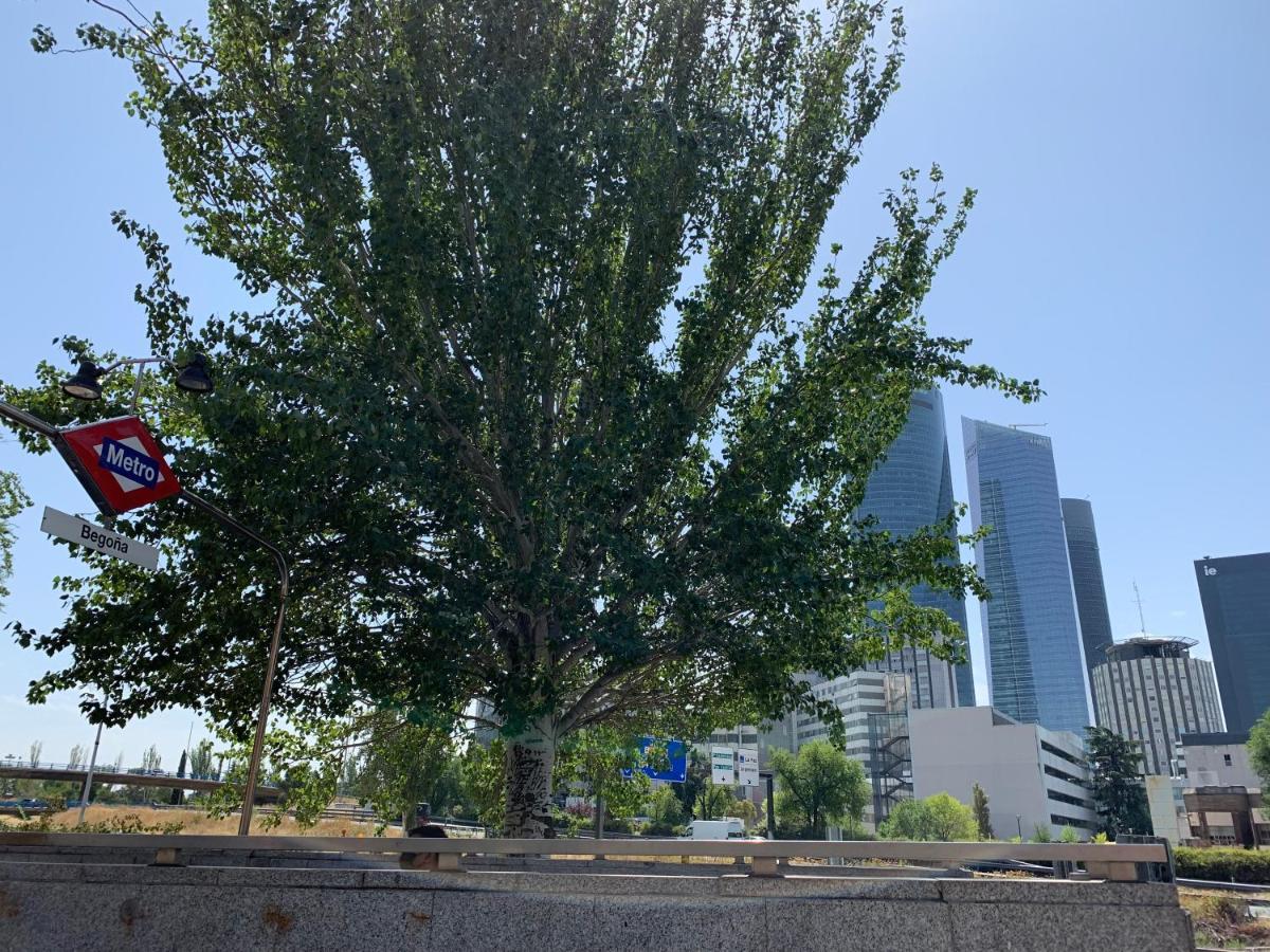 4torres Homes - Carmen Madrid