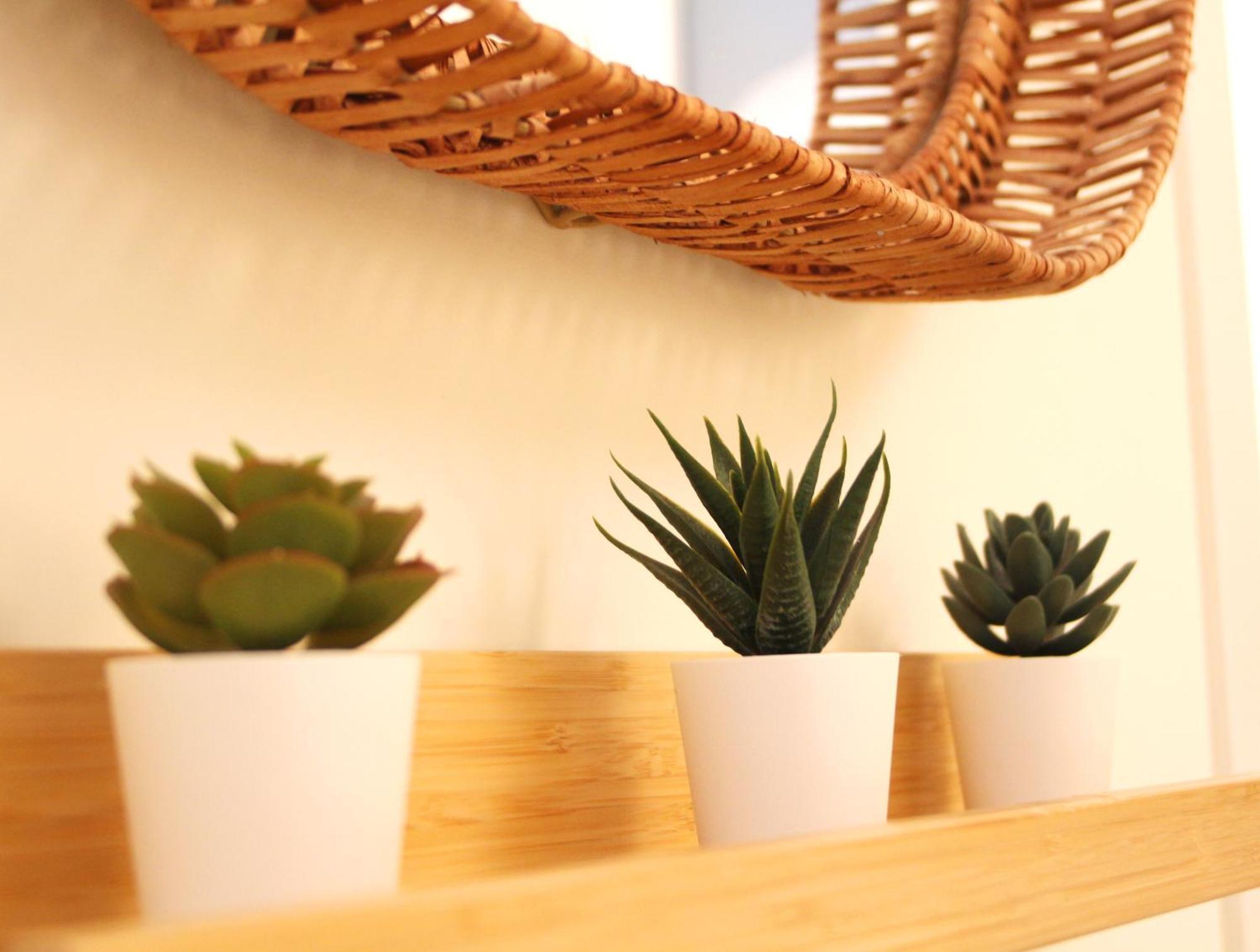 Marques De Zafra - Ventas Apartamento Madrid