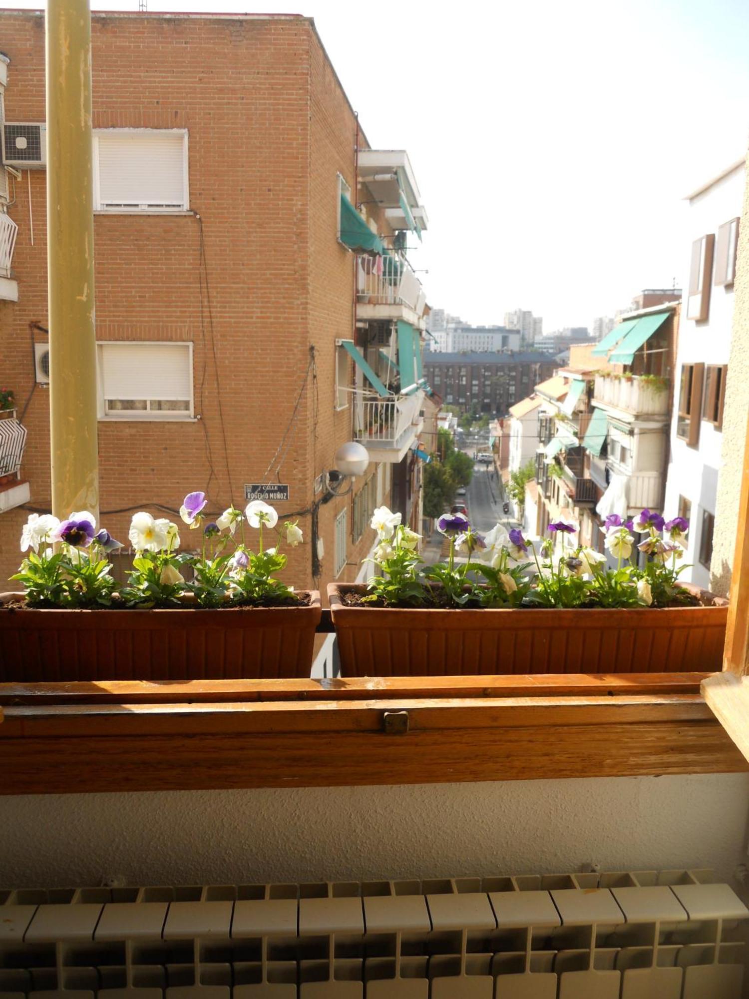 El Descanso Madrid
