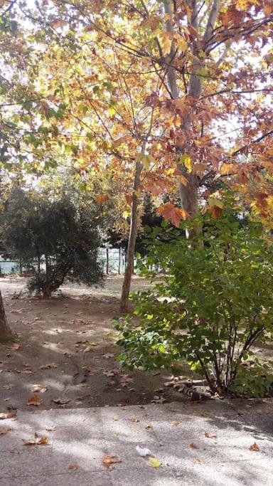 Apartment Wanda Metropolitano - Airport - North Zone