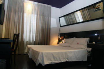 Hotel Avenida Gran Vía
