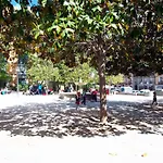 Plaza de Carros, 3