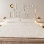 Apartamento lujo princesa gran vía