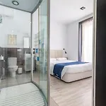 Spacious flat puerta del sol
