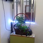 Apartamento Alicia