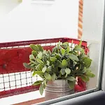 Bright Mini Studio In The Historic Center