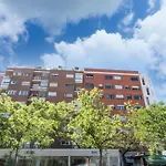 Madrid Center, Wifi (Retiro Ibiza)