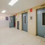 Malasana A Tus Pies Para 4, Descubre San Bernardo 20 E3