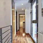 DUPLEX CENTRO DE MADRID-LA LATINA + GARAJE 4+1 pax