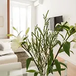 Chueca Exclusive - Madflats Collection