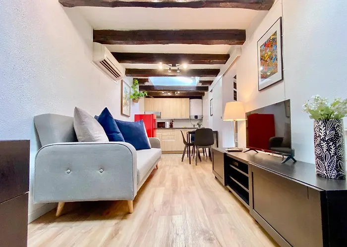 Charming Malasaña Attic