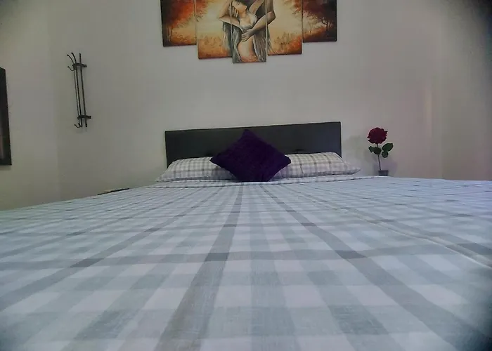 ViveLaVida Rooms