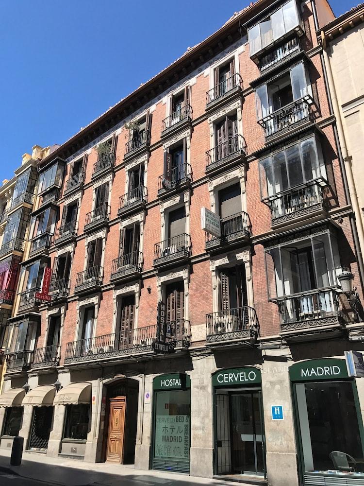 Pensión Cervelo Madrid