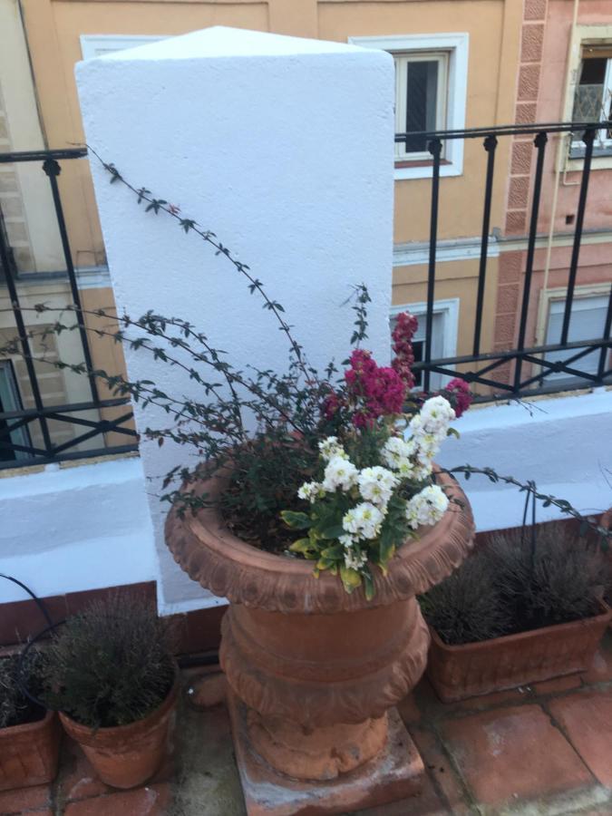 Romantic Terrace