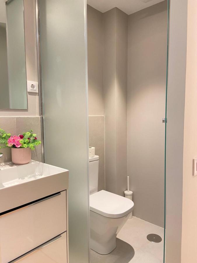Apartamento Collection La Latina Madrid