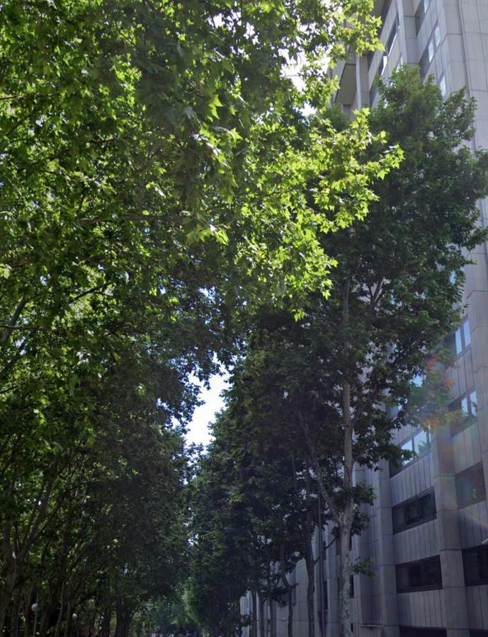 Apartamento Bernabeu, Precioso Y Alegre Entero