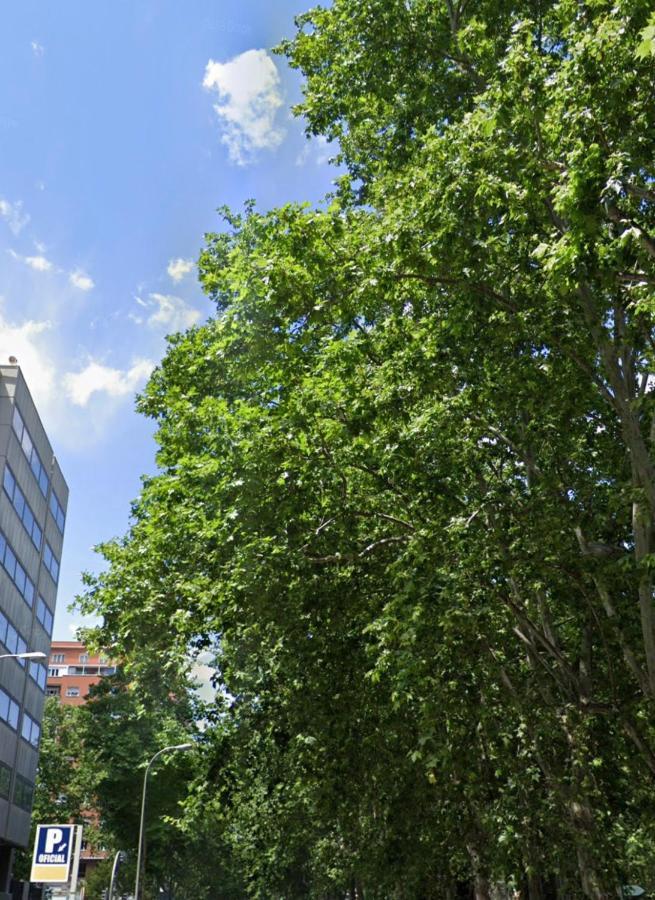 Apartamento Bernabeu, Precioso Y Alegre Entero Madrid