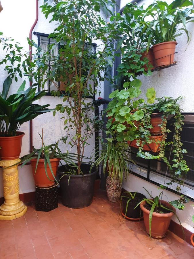 Cosy In The Heart Of 45m² With A/c *