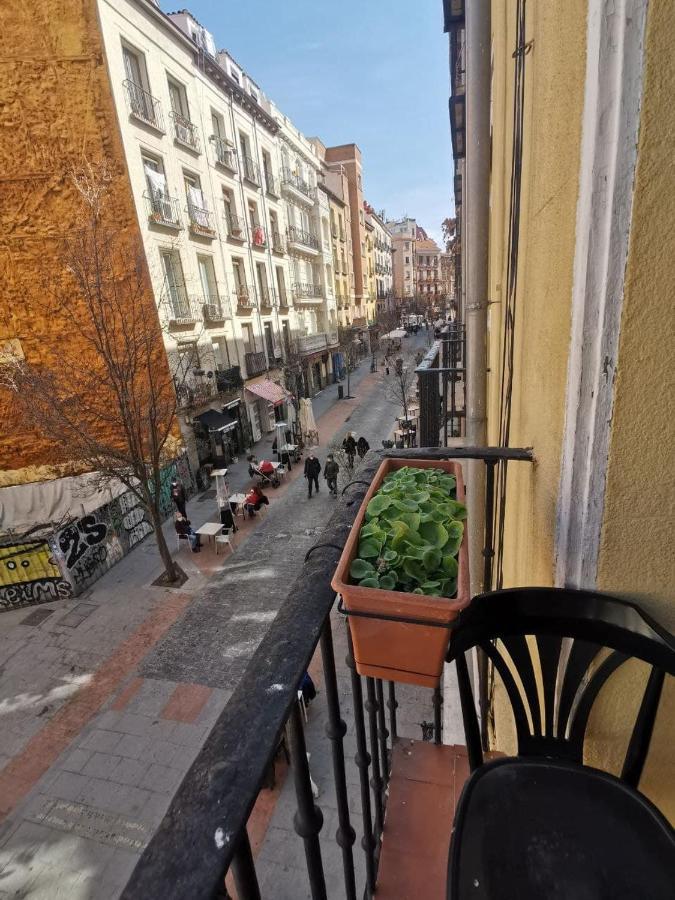 Pensión Arta *