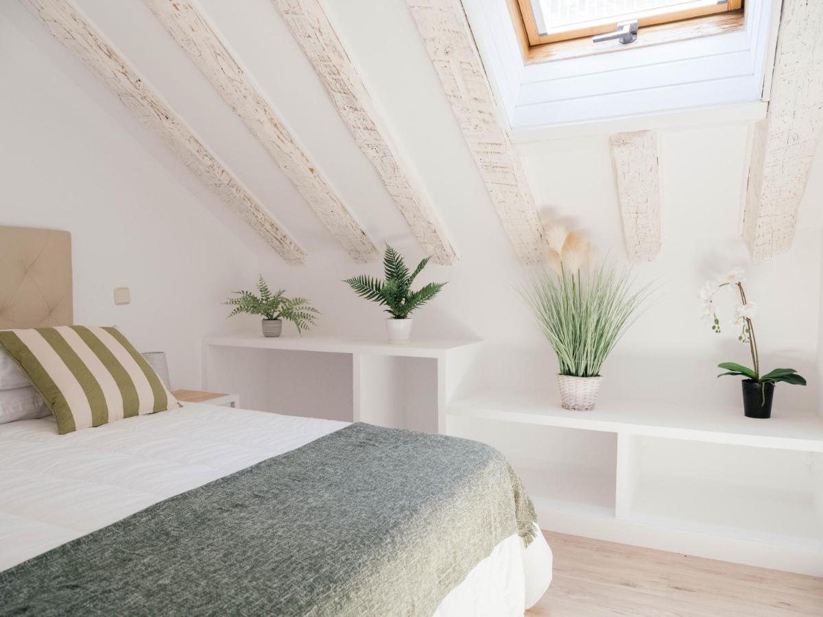 Slow Suites Sol *