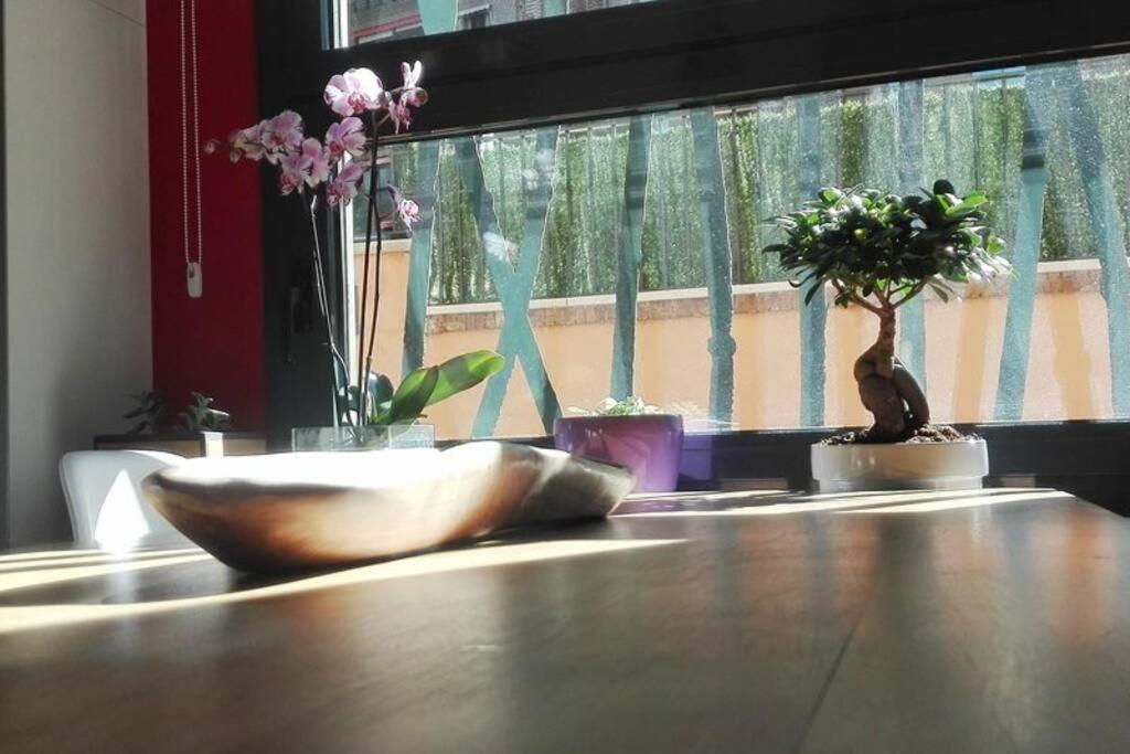 Cozy Designer Apart / Acogedor Apartamento De Diseño ● Wifi - Jacuzzi - A/c Steamsauna *