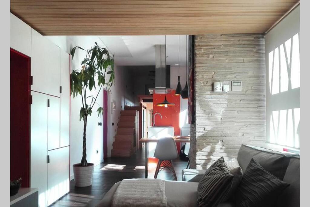 Apartamento Cozy Designer Apart / Acogedor Apartamento De Diseño ● Wifi - Jacuzzi - A/c Steamsauna *