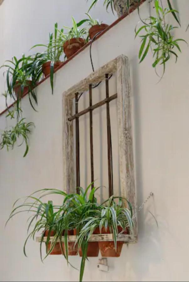 Beautiful & Cozy In The Heart Of Apartamento Madrid