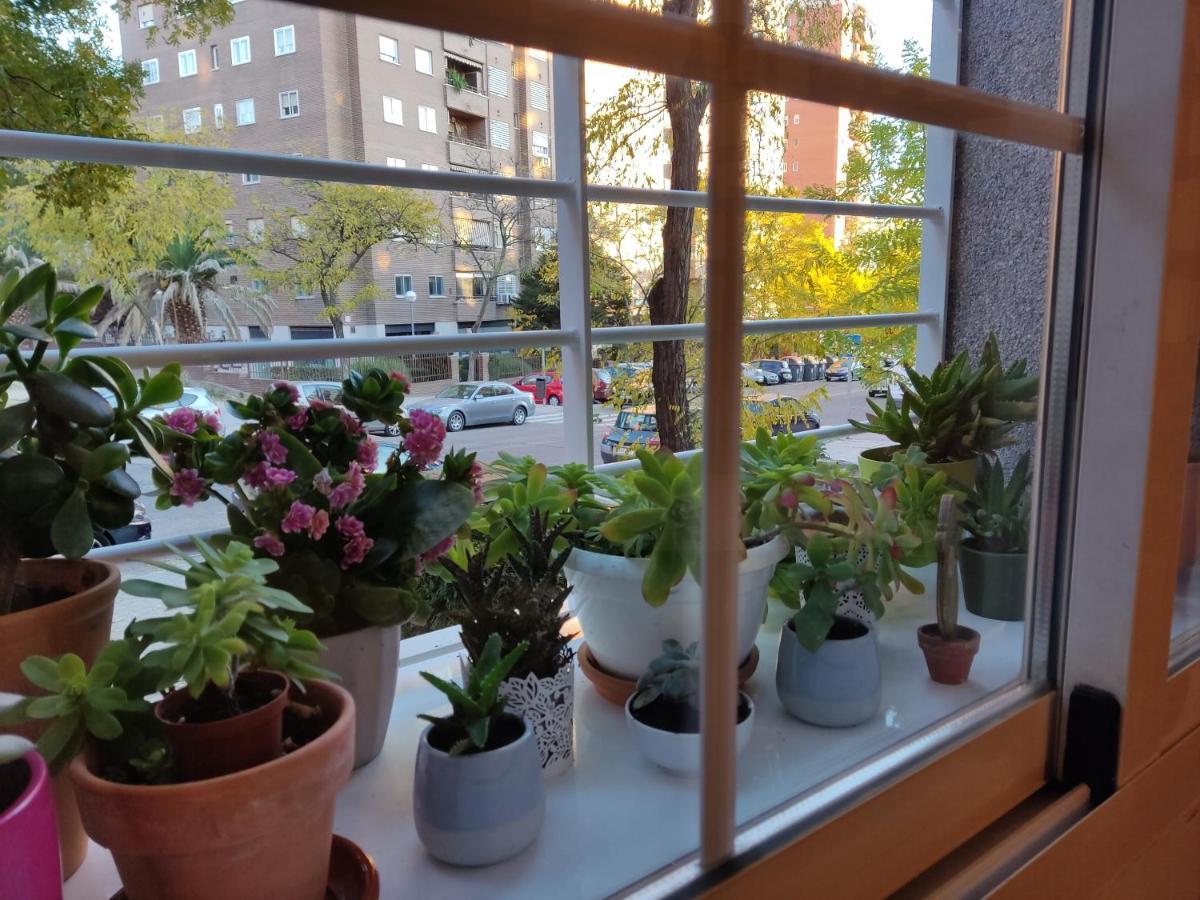 El Pozo-villalobos Apartment Madrid