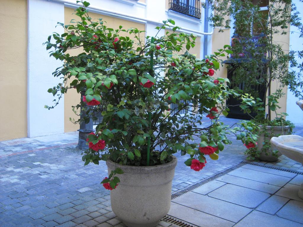 Huespedes Toledo