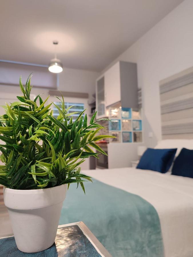 Apartamento Estudio Norte 2