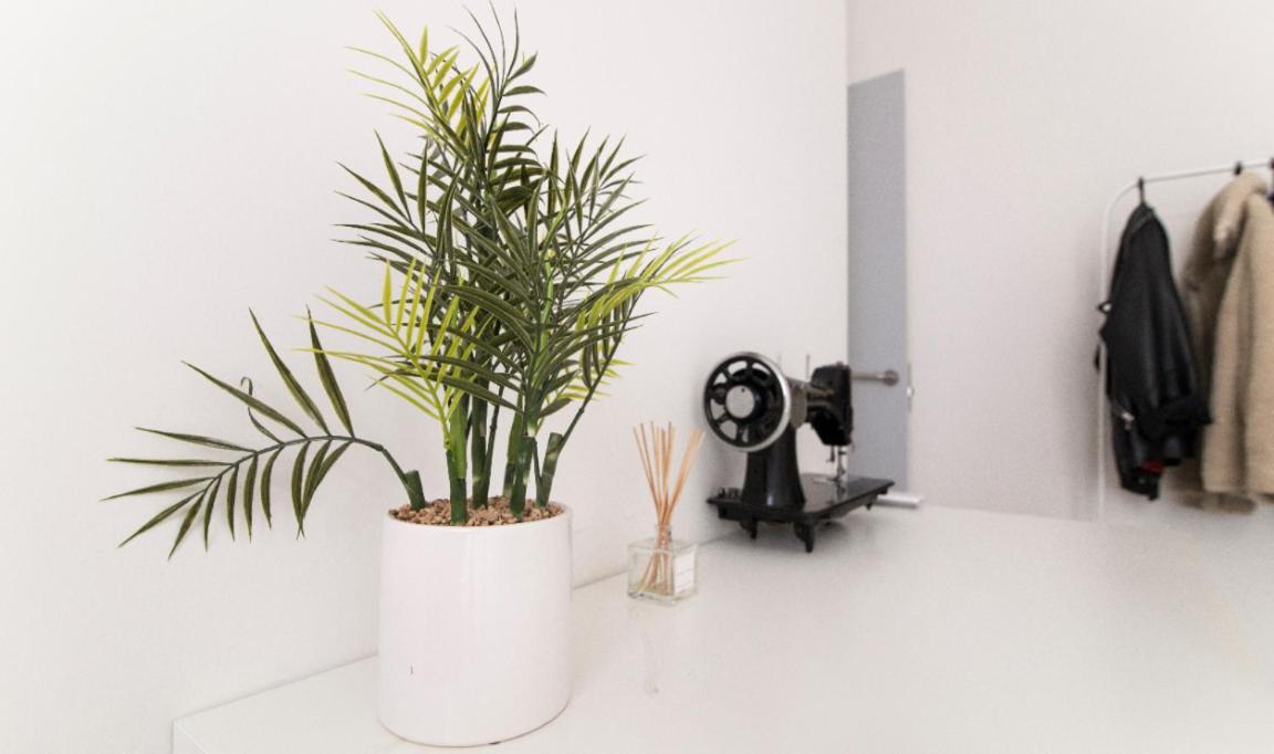 Apartamento Minty - Velarde