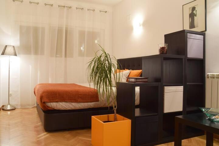 Estudio Acogedor Y Luminoso Apartment Madrid