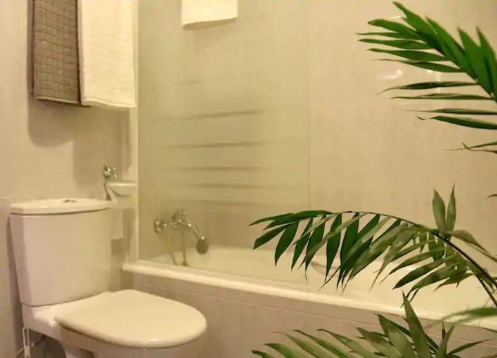 Estudio Acogedor Y Luminoso Apartamento Madrid