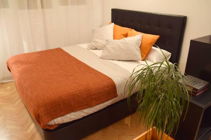Estudio Acogedor Y Luminoso Apartamento