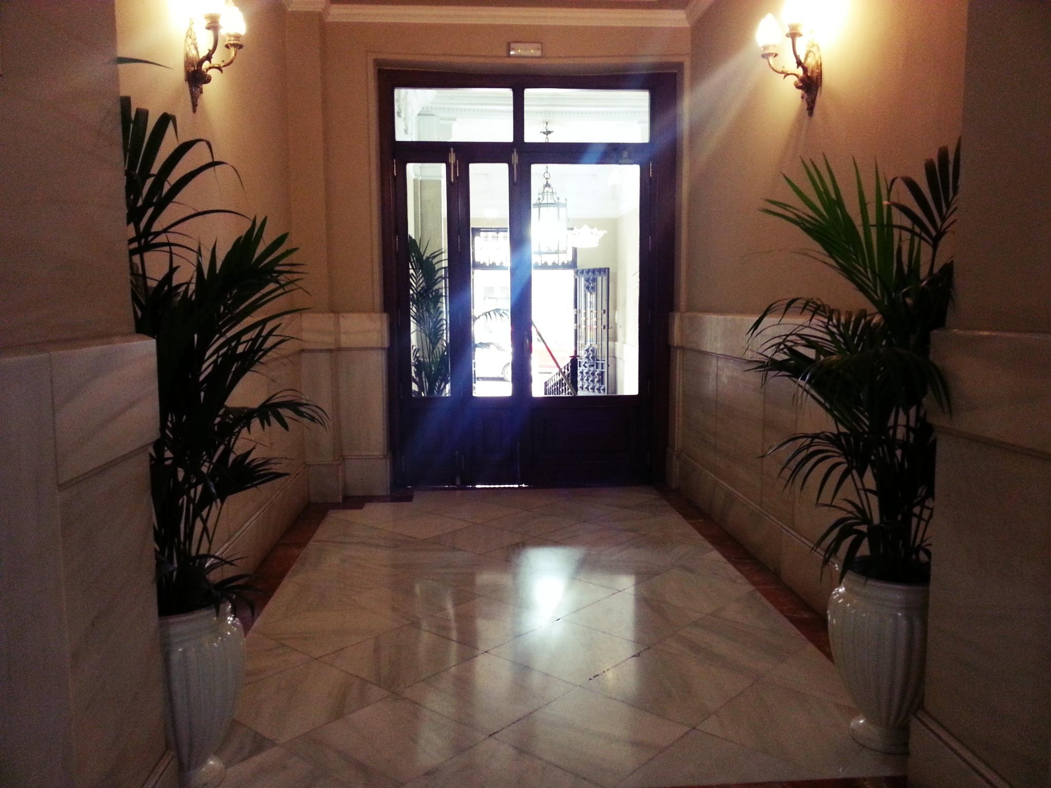 Avenida 2*