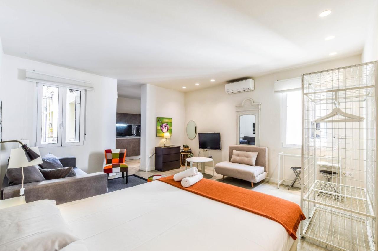 Apartment Loft Business Goya *