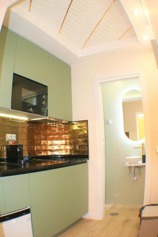 Lujoso Centrico 1 Apartamento