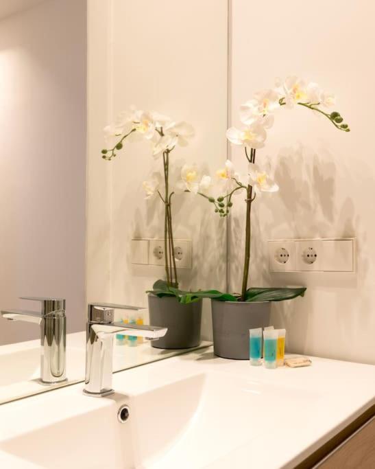 Amazing Apartment! Quiet And Bright, Madrid. Apartamento Madrid