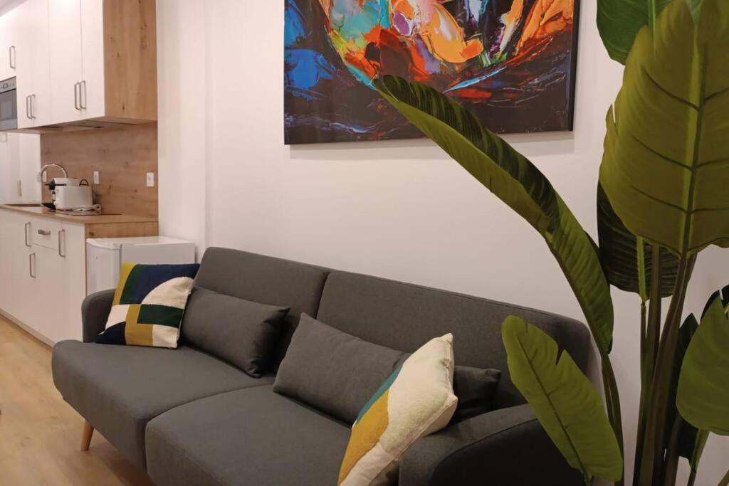 Coqueto Apartamento En Lavapies Madrid