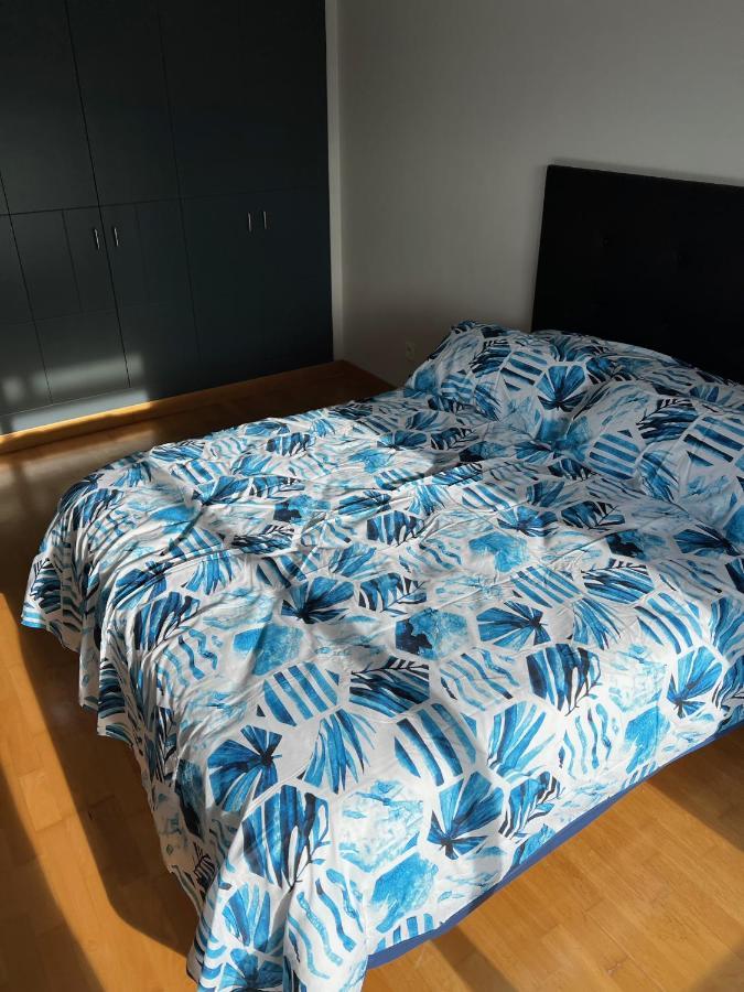 Loft_luminoso_efeso Apartment Madrid