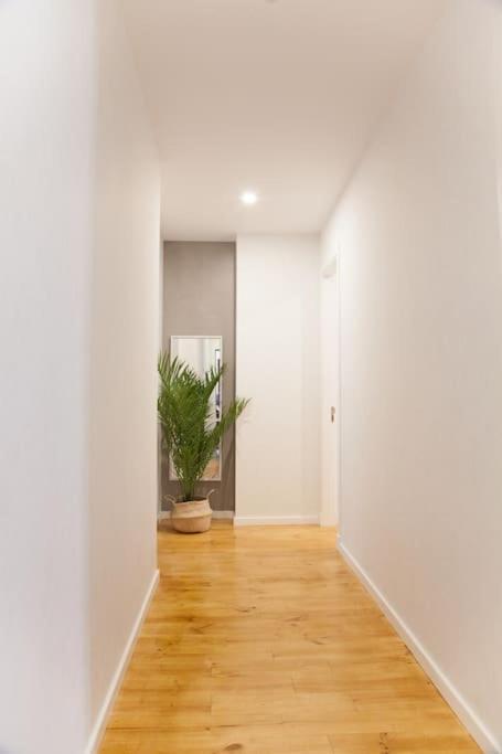 Apartamento Cozy B&B In The Center Of Madrid
