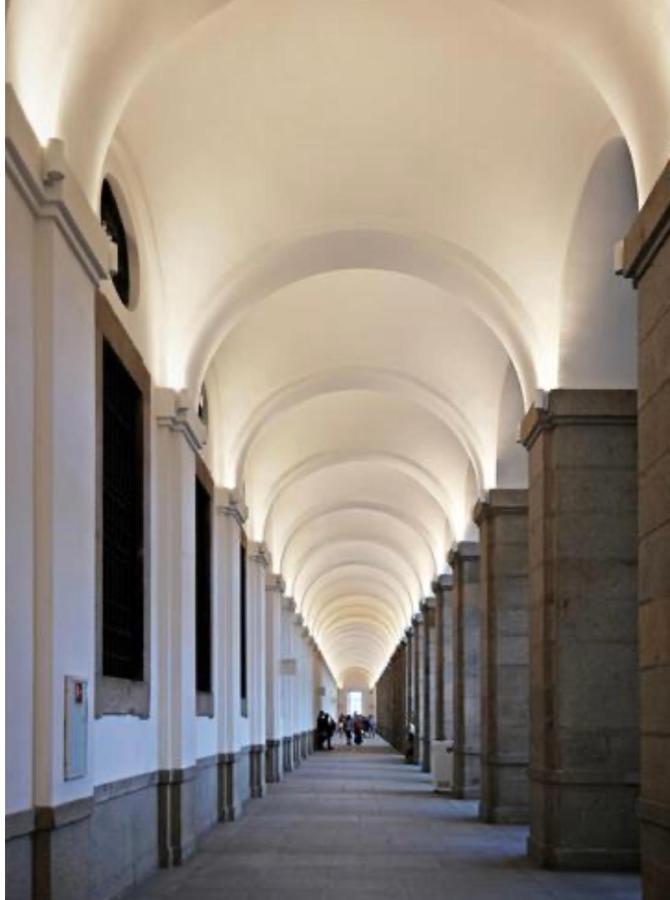 Reina Sofía Museum *