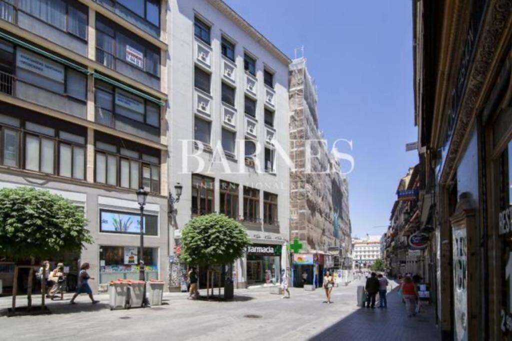 Espectacular Piso En Sol. * Madrid
