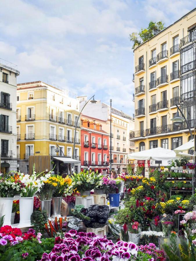 Acogedor Piso Apartment Madrid