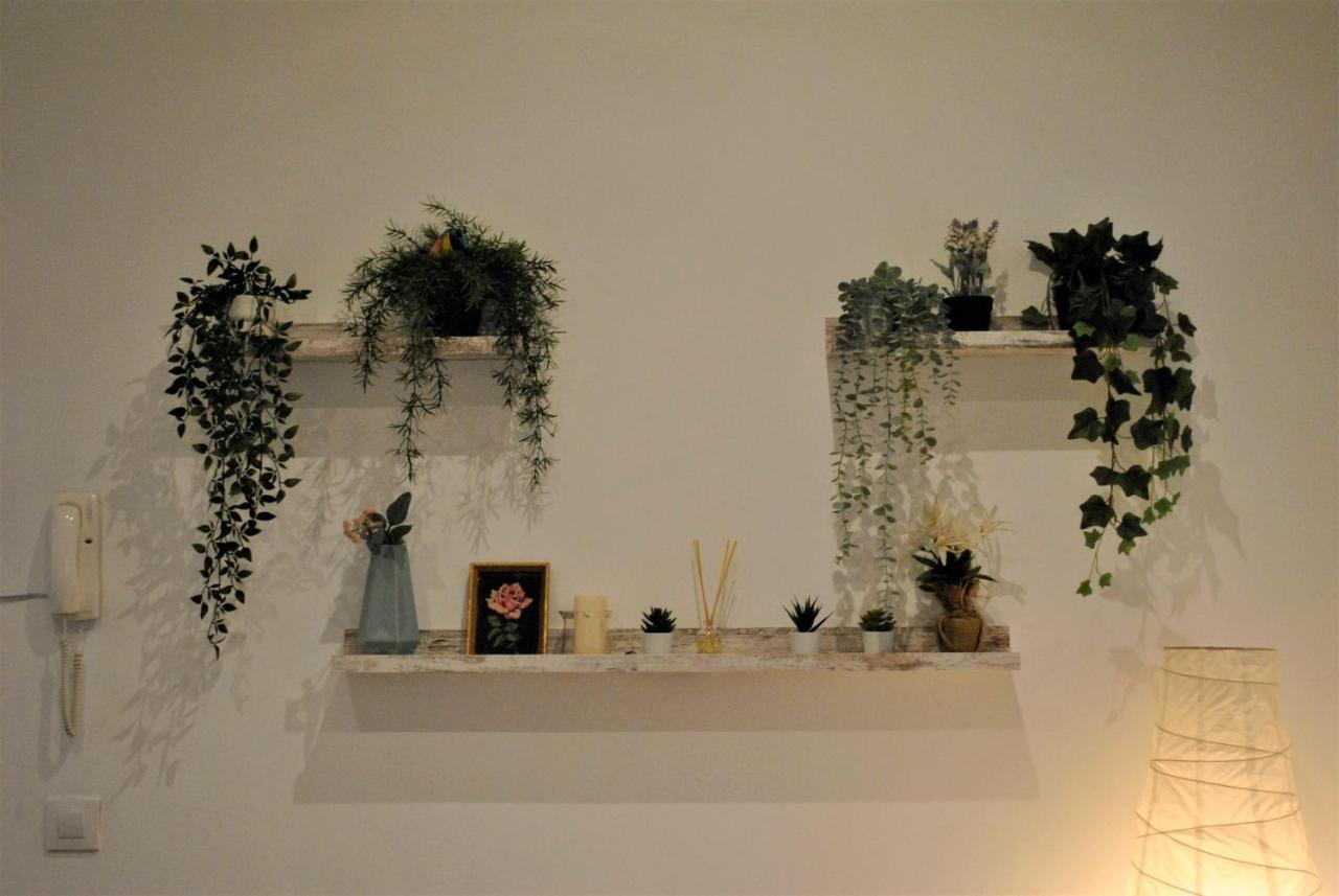 Piruli Home- Cozy With Patio Apartamento Madrid