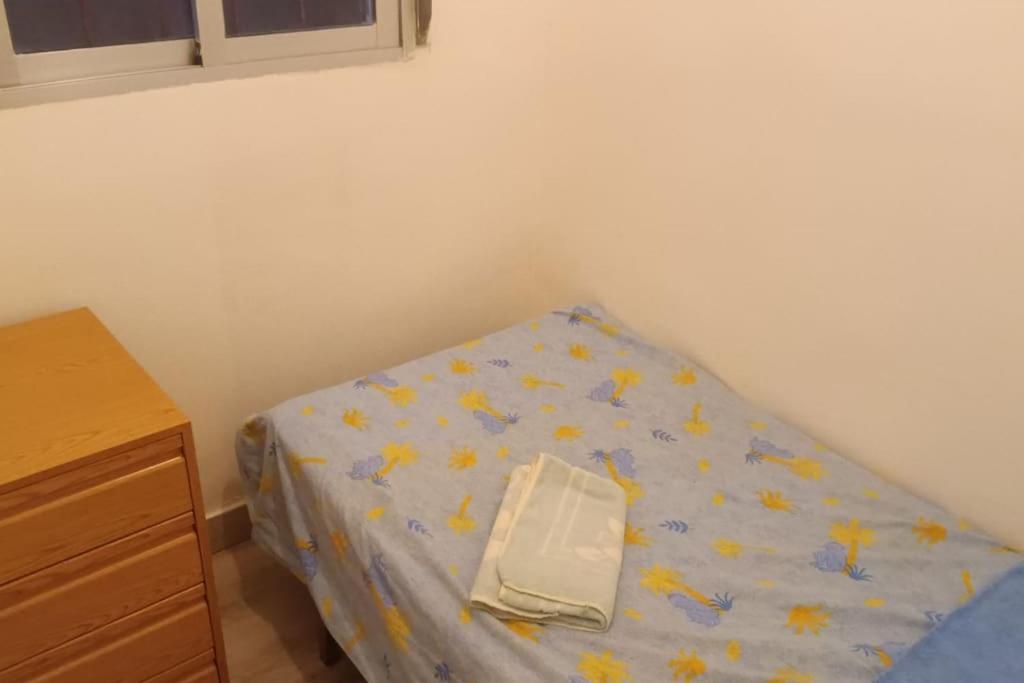 Alicia Apartamento