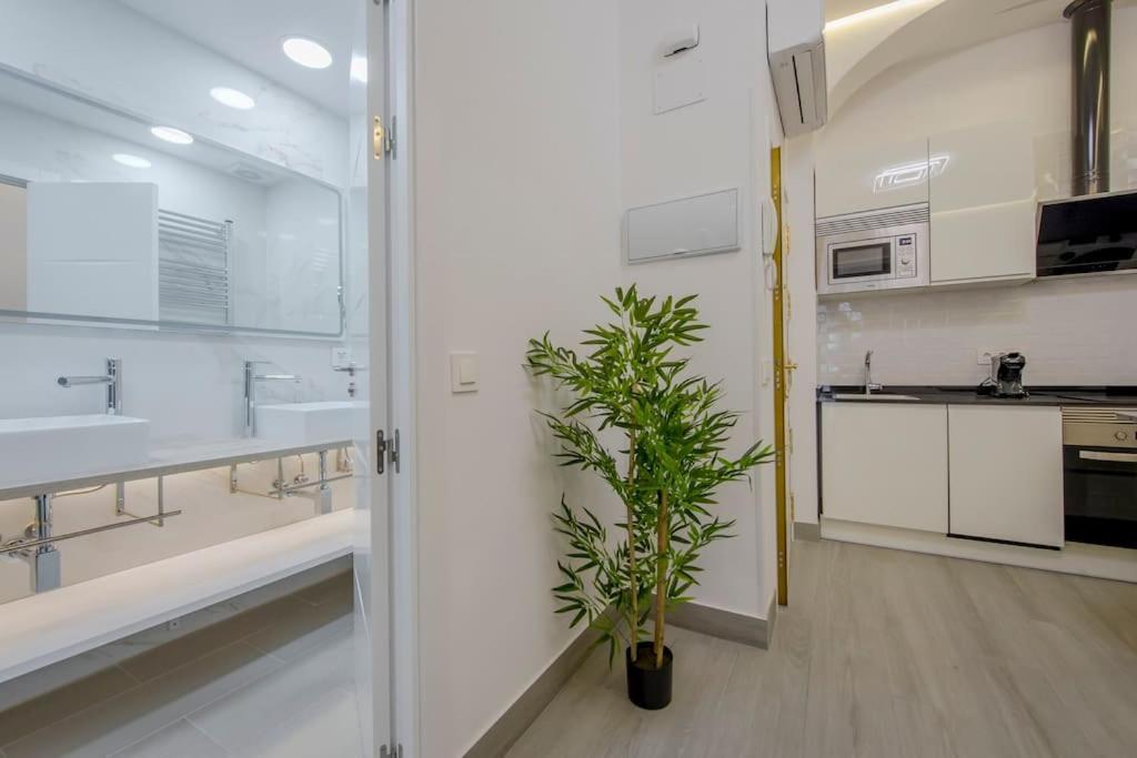 Suara 2 Apartamento Madrid