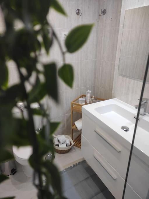 Costa De Apartment *